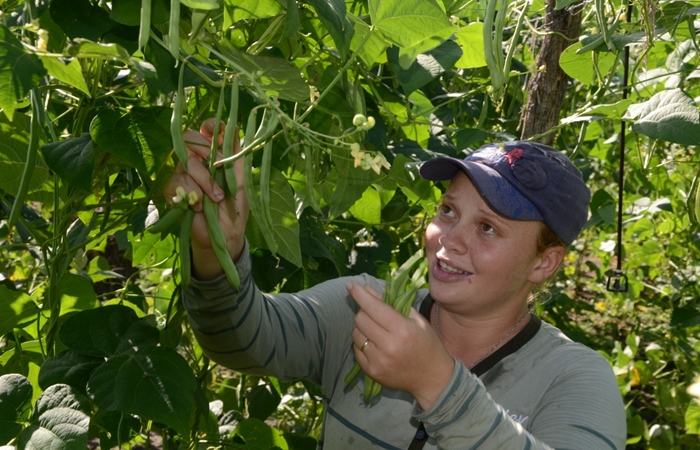 Em Pernambuco, o PAA vai beneficiar 1.249 agricultores, em 144 municípios, com um valor de aproximadamente R$ 6.500 por produtor./Foto: Josué da Mata