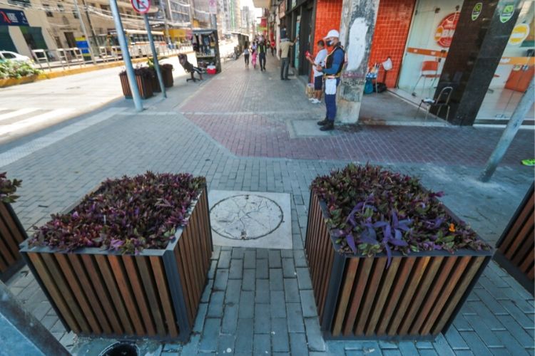 Com mais espaço para pedestre nas calçadas, avenida foi arborizada