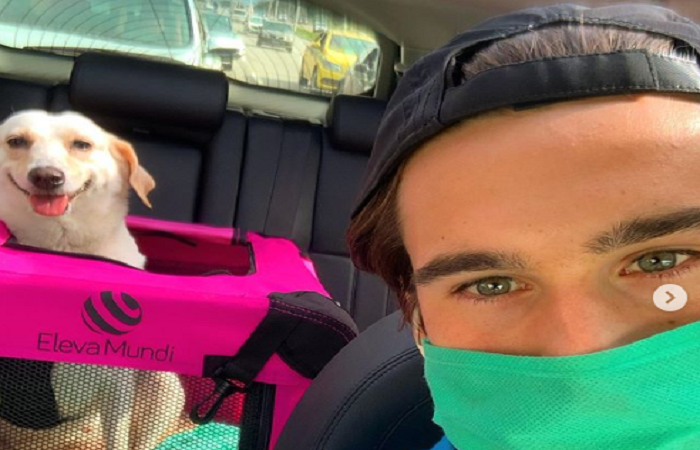 De acordo com a reportagem, Branca &eacute; uma vira-lata de cerca de quatro anos, que viveu dois anos deles com a antiga dona ./Foto: Reprodu&ccedil;&atilde;o / Instagram