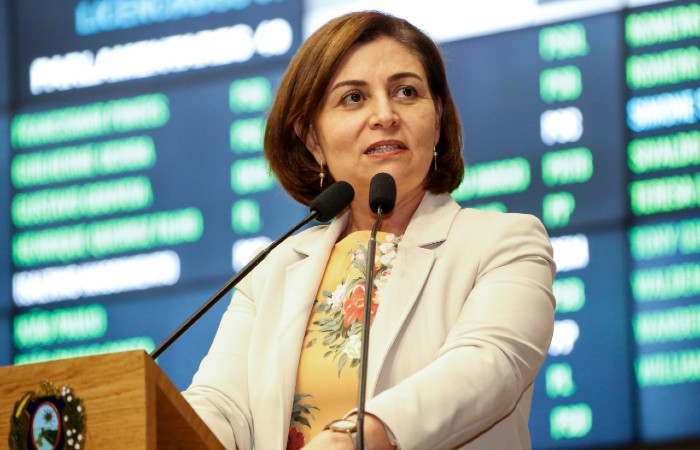 Parlamentar comemorou a sanção da Lei pelo Governo do Estado/Foto: Alepe / Divulgação