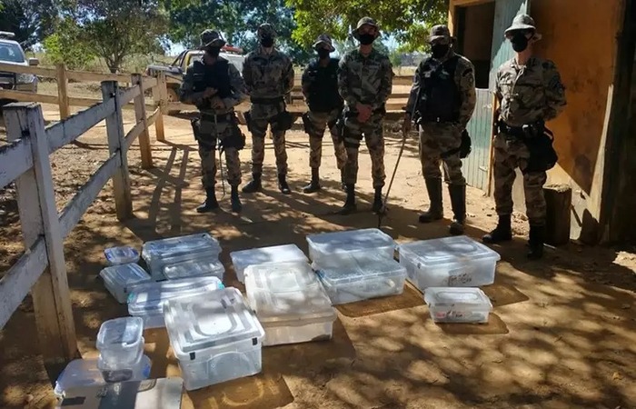 /Foto: Divulgação/BPMA /Foto: Divulgação/BPMA