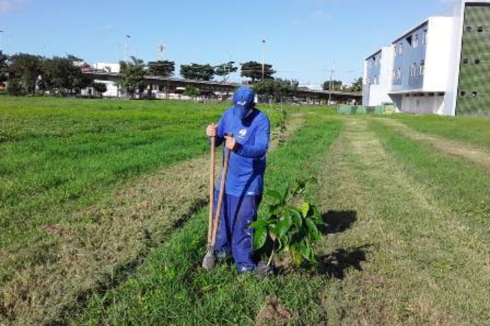 /Foto: UFPE/Divulgação /Foto: UFPE/Divulgação