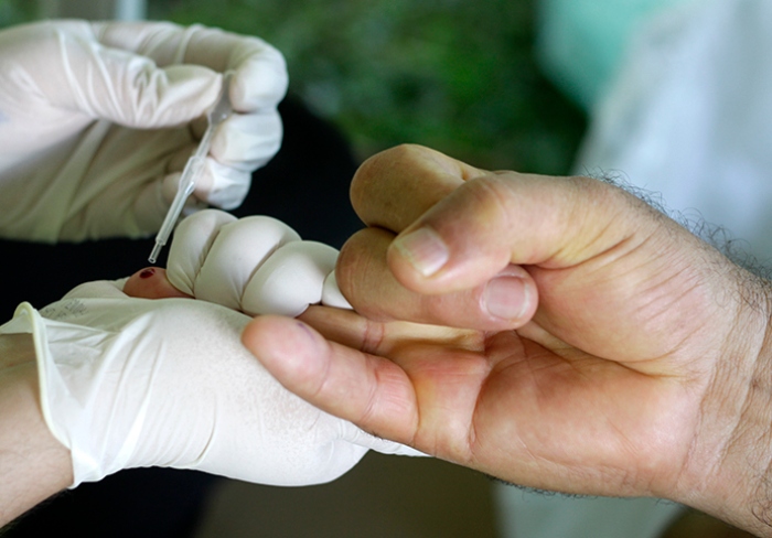 /Foto: Miva Filho/Divulgação