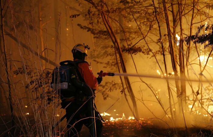 /Foto: Divulgação/Bombeiros do DF /Foto: Divulgação/Bombeiros do DF