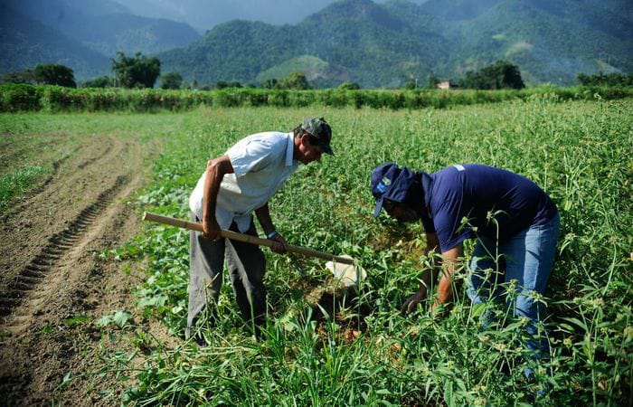 Com constantes variações mensais, em julho a tonelada alcançou seu maior valor este ano, chegando a R$ 103,57. Os custos da produção do período, entretanto, ficaram em R$ 131,93./Foto: Tomaz Silva / Agência Brasil Com constantes variações mensais, em julho a tonelada alcançou seu maior valor este ano, chegando a R$ 103,57. Os custos da produção do período, entretanto, ficaram em R$ 131,93./Foto: Tomaz Silva / Agência Brasil
