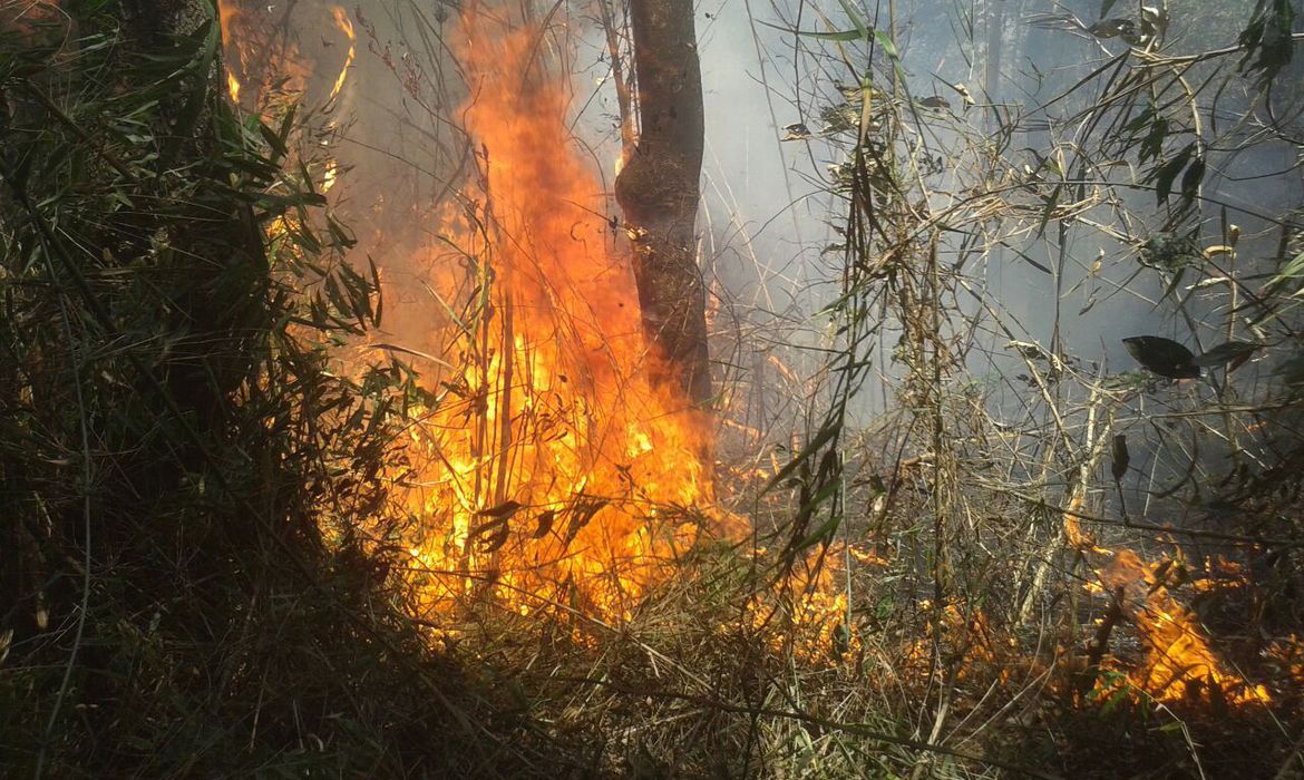 /Foto: Parnaso / Divulgação /Foto: Parnaso / Divulgação
