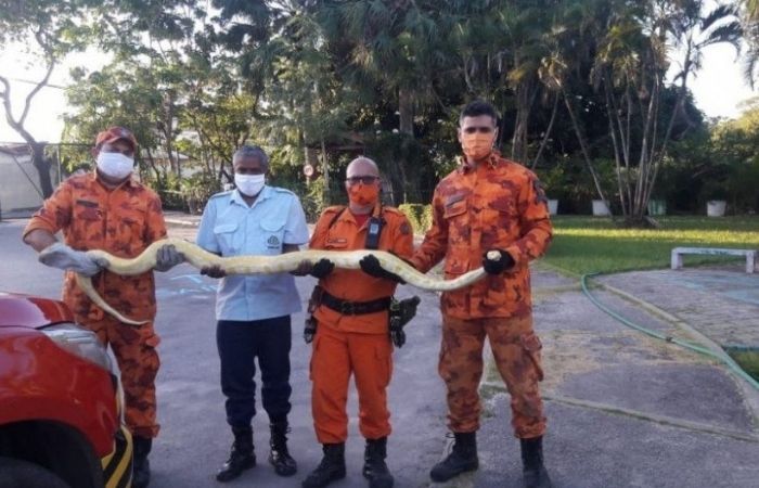 /Foto: Corpo de Bombeiros/divulgação /Foto: Corpo de Bombeiros/divulgação