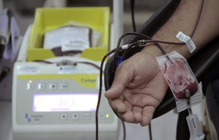 Estrutura será montada atendendo normas sanitárias./Foto: Divulgação/Hemope.