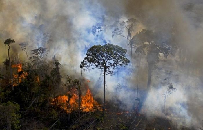 /Foto: CARL DE SOUZA / AFP /Foto: CARL DE SOUZA / AFP