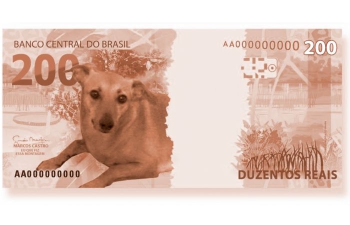 /Foto: Reprodução/Internet