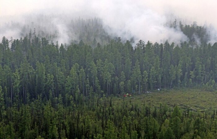 /Foto: Russian Federal Agency of Forestry/AFP) /Foto: Russian Federal Agency of Forestry/AFP)