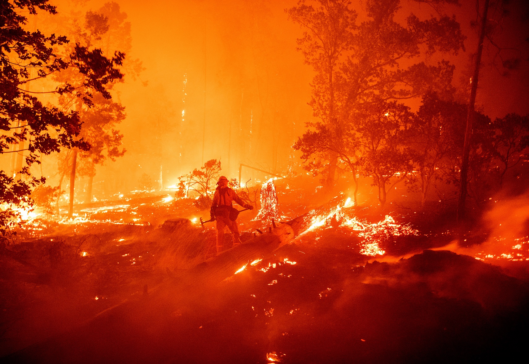 /Foto: JOSH EDELSON / AFP /Foto: JOSH EDELSON / AFP