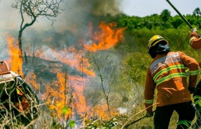 /Foto: Divulgação/CBMDF