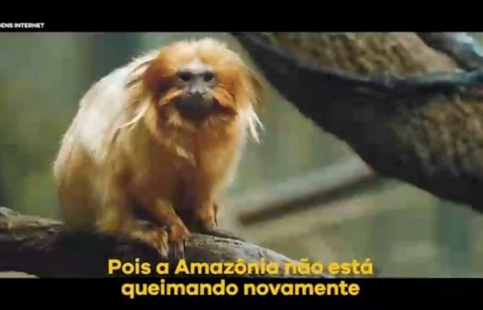 /Foto: Reprodução/Twitter /Foto: Reprodução/Twitter