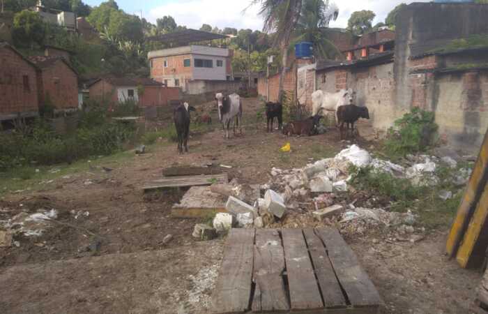 /Foto: CPRH/divulgação /Foto: CPRH/divulgação