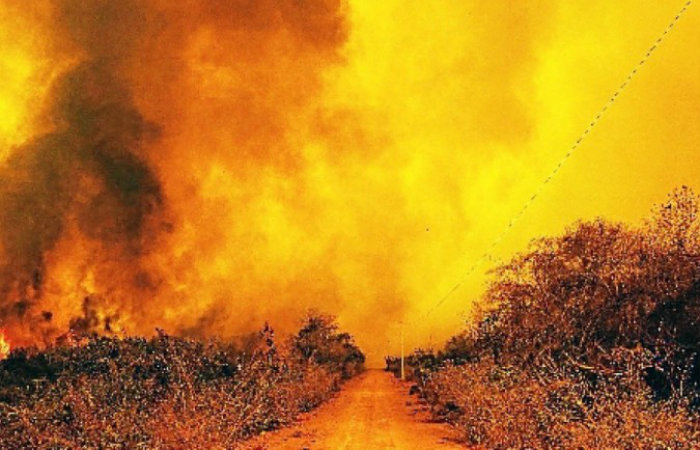 Dados consolidados do Inpe apontam que o bioma, que arde em chamas, registrou 14.489 queimadas de 1º de janeiro até 12 de setembro, contra 4.660 no mesmo período do ano passado. Verbas diminuirão em 2021/Foto: Mayke Toscano/Secom-MT Dados consolidados do Inpe apontam que o bioma, que arde em chamas, registrou 14.489 queimadas de 1º de janeiro até 12 de setembro, contra 4.660 no mesmo período do ano passado. Verbas diminuirão em 2021/Foto: Mayke Toscano/Secom-MT