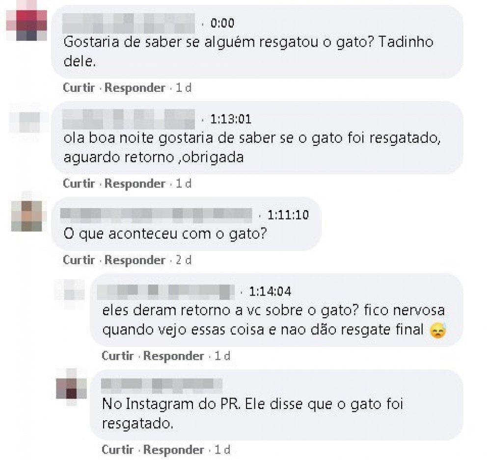 Comentários de internautas sobre gato que invadiu culto
