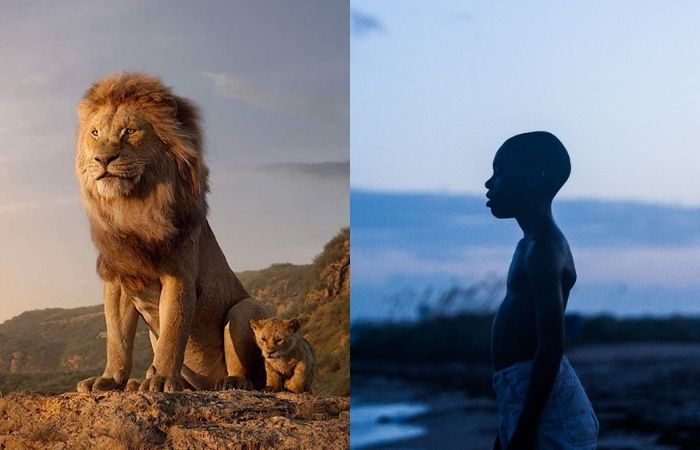Cenas de O Rei Leão (2019) e Moonlight (2016)/Foto: Disney/Divulgação e Diamond Films/Divulgação Cenas de O Rei Leão (2019) e Moonlight (2016)/Foto: Disney/Divulgação e Diamond Films/Divulgação