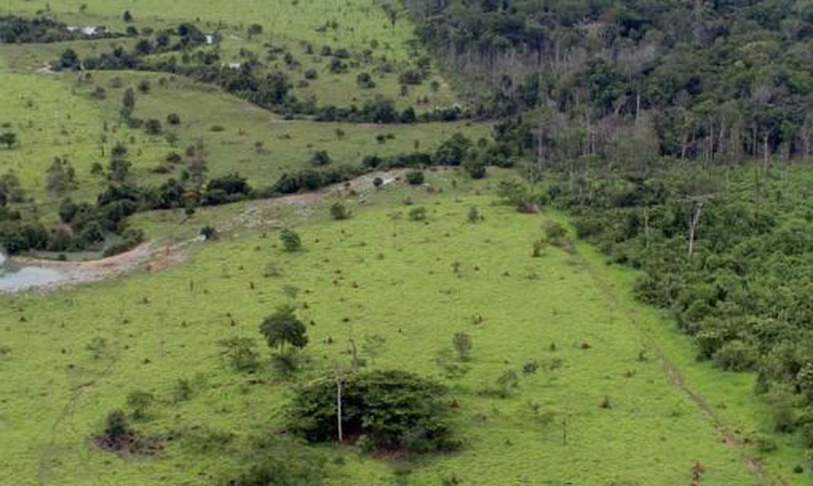 /Foto: MMA / Arquivo /Foto: MMA / Arquivo