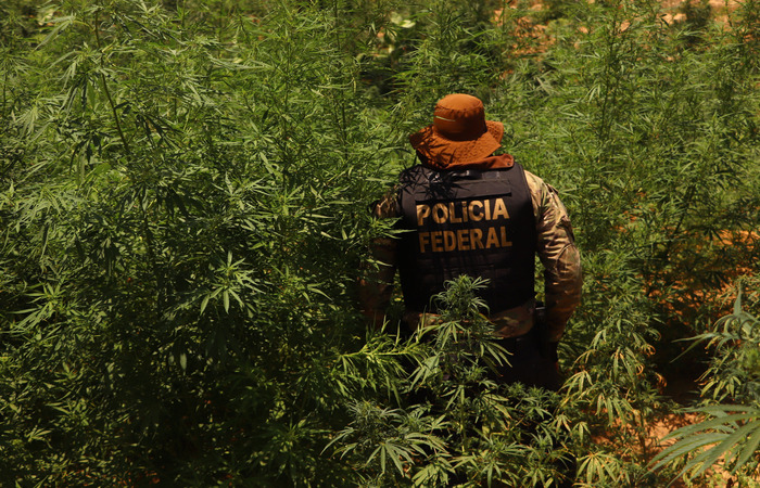 /Polícia Federal/Divulgação