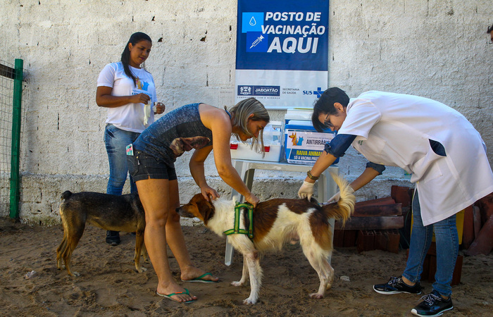 /Foto: Divulgação /Foto: Divulgação