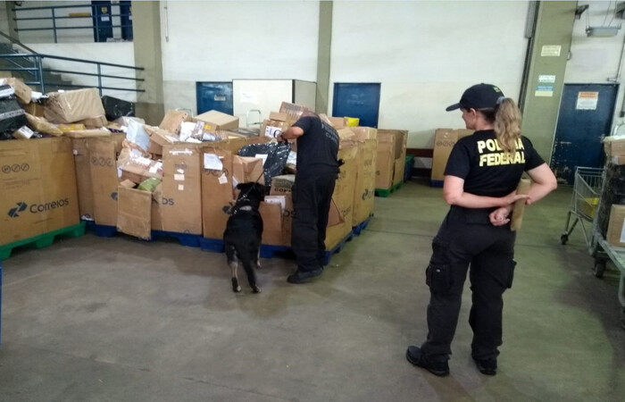 /Foto: PF/ Divulgação /Foto: PF/ Divulgação