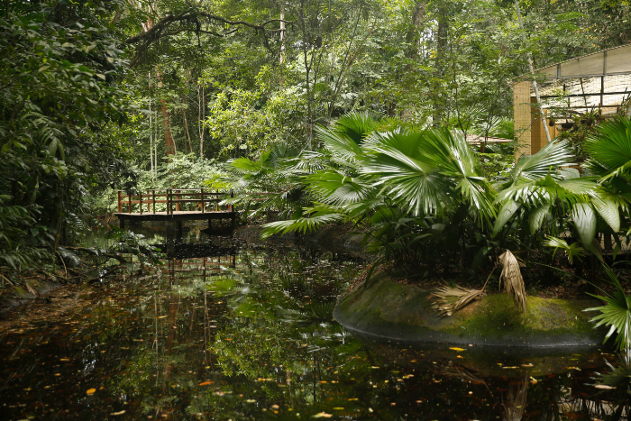 Não precisa de agendamento para visitação, o controle de acesso será feito na portaria./Foto: Andréa Rêgo Barros/PCR. Não precisa de agendamento para visitação, o controle de acesso será feito na portaria./Foto: Andréa Rêgo Barros/PCR.