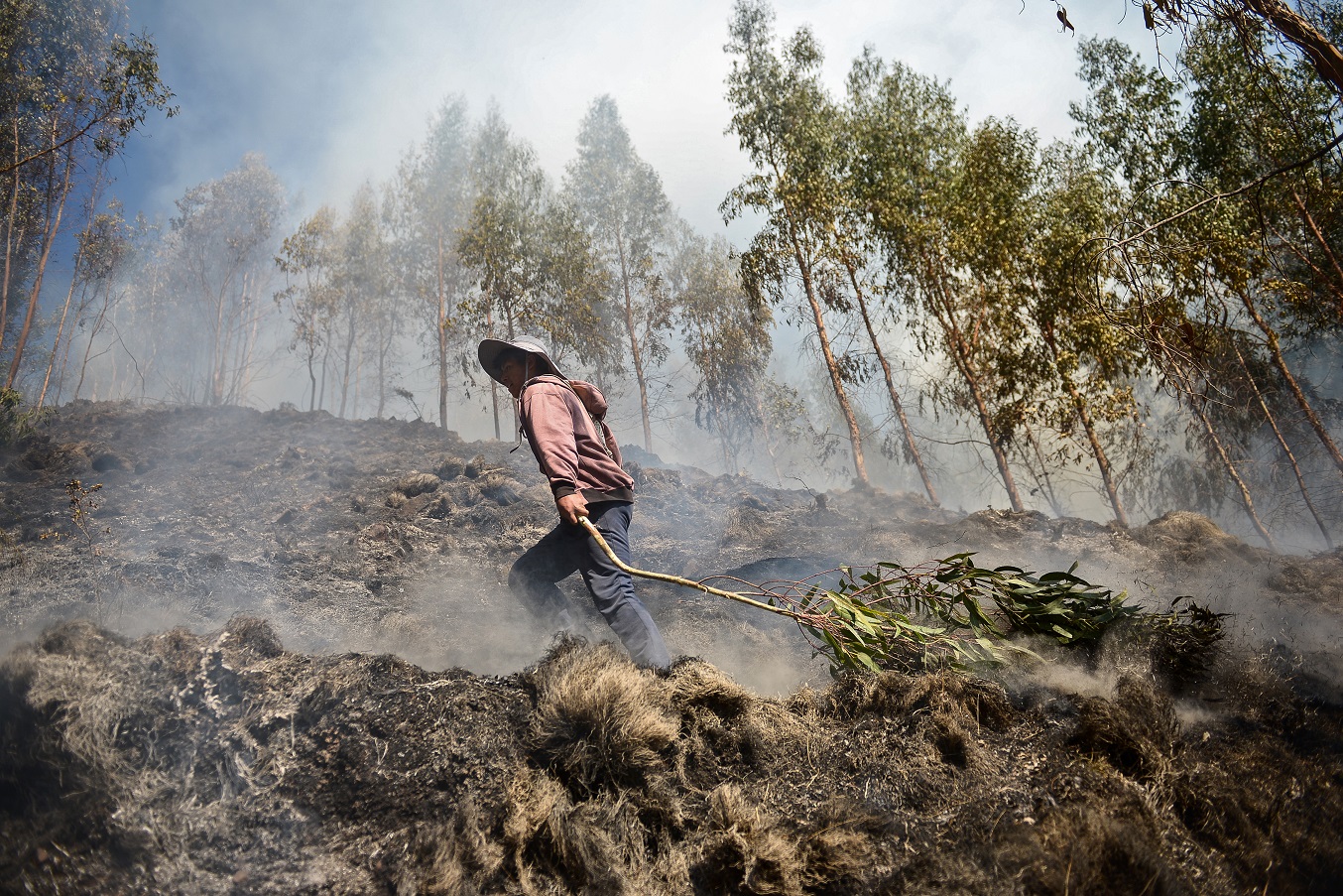 /Foto: MIGUEL YOVERA / AFP /Foto: MIGUEL YOVERA / AFP