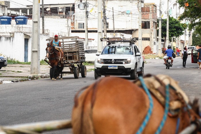 Flagrante de circulação de carroceiros no bairro do Arruda, Zona Norte do Recife. (Foto: Bruna Costa / Esp. DP FOTO) Flagrante de circulação de carroceiros no bairro do Arruda, Zona Norte do Recife./Foto: Bruna Costa / Esp. DP FOTO