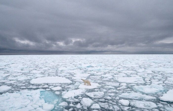 /Foto: BJ KIRSCHHOFFER / POLAR BEARS INTERNATIONAL / AFP /Foto: BJ KIRSCHHOFFER / POLAR BEARS INTERNATIONAL / AFP