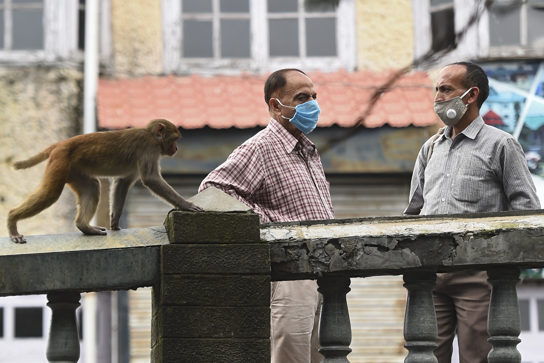 /Foto: Money SHARMA / AFP /Foto: Money SHARMA / AFP