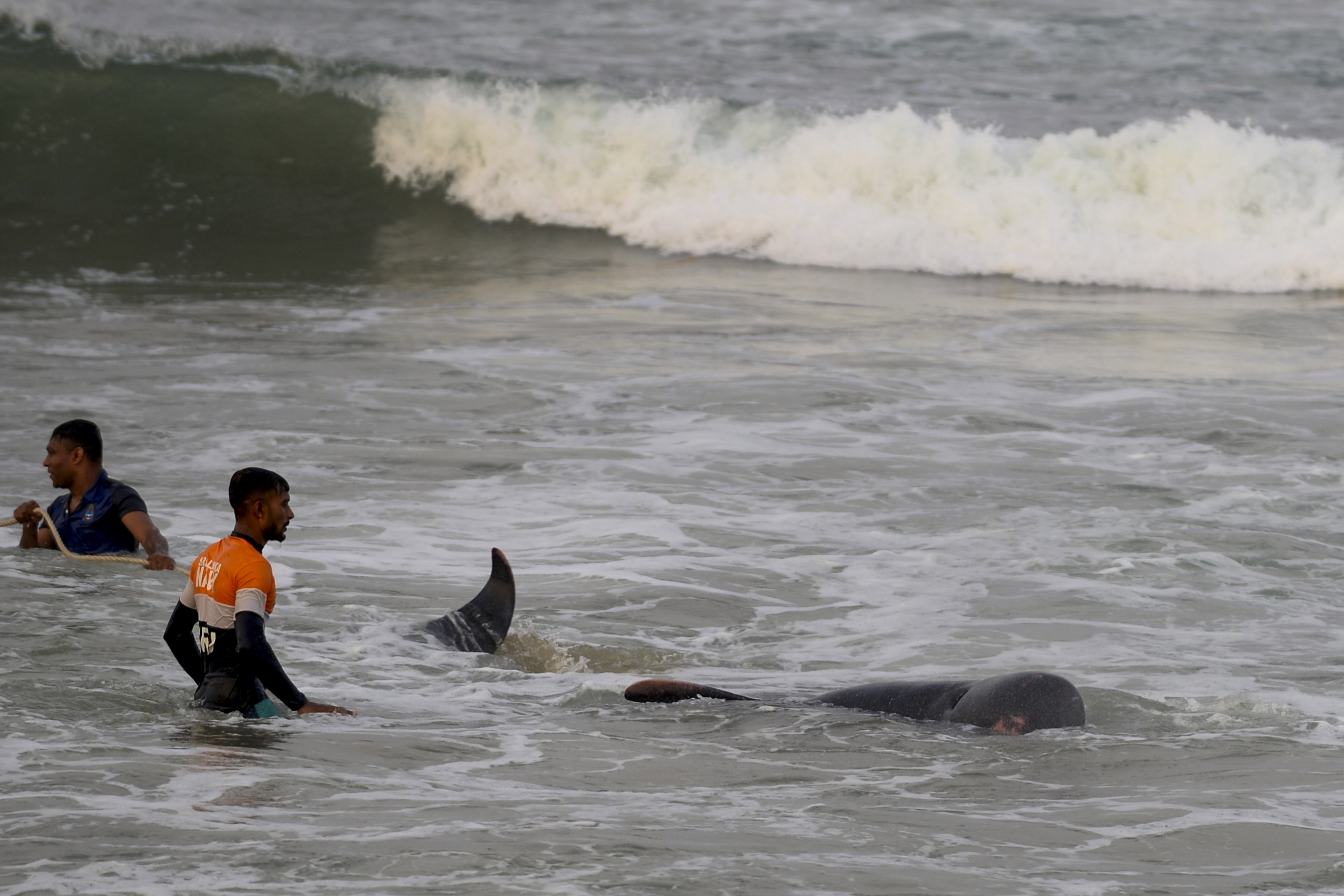/Foto: Lakruwan WANNIARACHCHI / AFP /Foto: Lakruwan WANNIARACHCHI / AFP