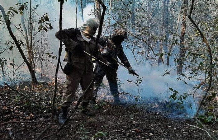 /Foto: Força Nacional de Segurança Pública /Foto: Força Nacional de Segurança Pública