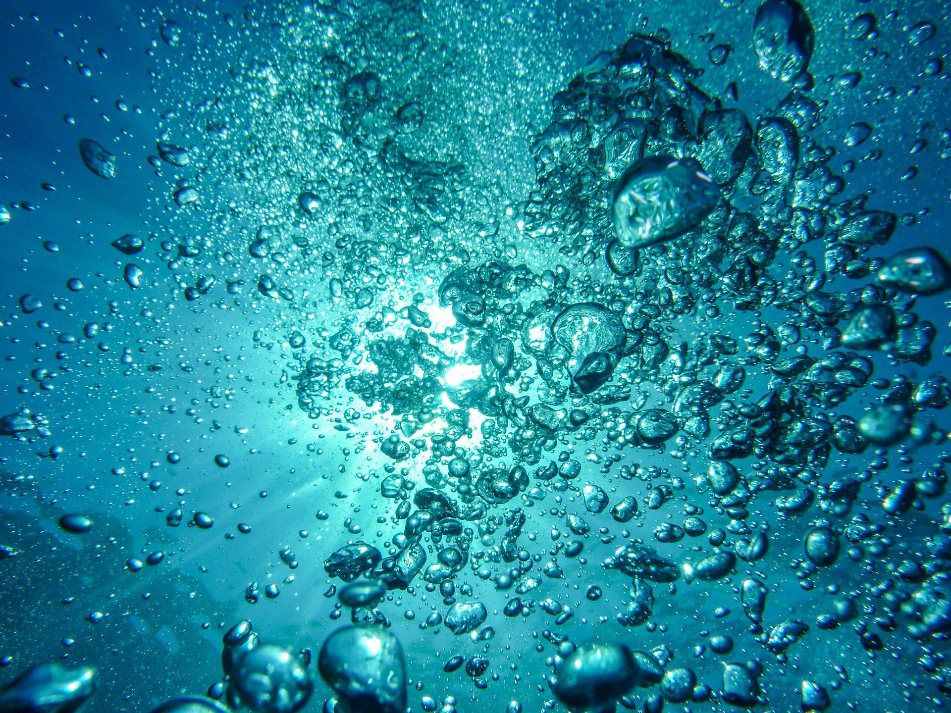 /Foto: Reprodução/Pixabay
