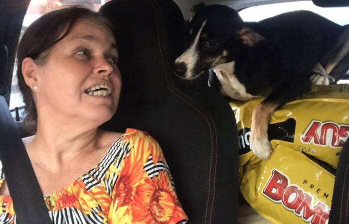 Dona Fátima, protetora que mantém o abrigo ao realizar resgate de animal (Foto: Divulgação) Dona Fátima, protetora que mantém o abrigo ao realizar resgate de animal/Foto: Divulgação