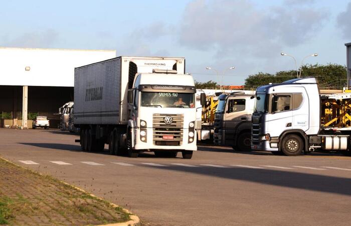O curso à distância é dividido em dois módulos, com carga horária de 24 horas/aula./Foto: Suape/Divulgação