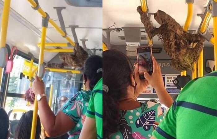 /Foto: Reprodução/ Instagram