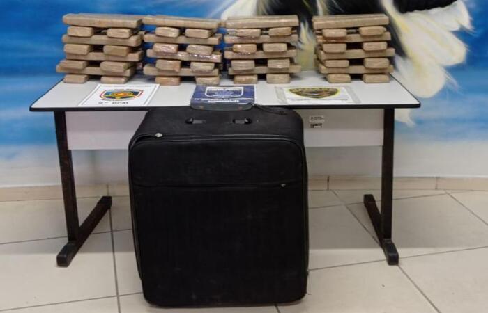 /Foto: PM/ Divulgação /Foto: PM/ Divulgação