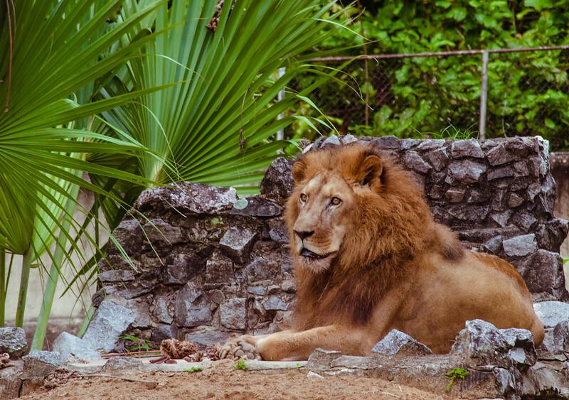 /Fotos: Lu Rocha/ Semas-PE e Acervo pessoal de Dênisson Souza