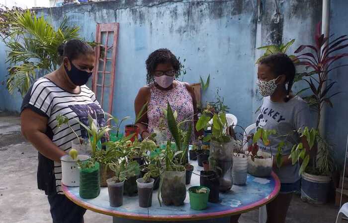 /Foto: Divulgação/Rede pela Transição Agroecológica