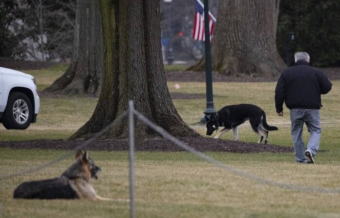 /Foto: JIM WATSON/AFP