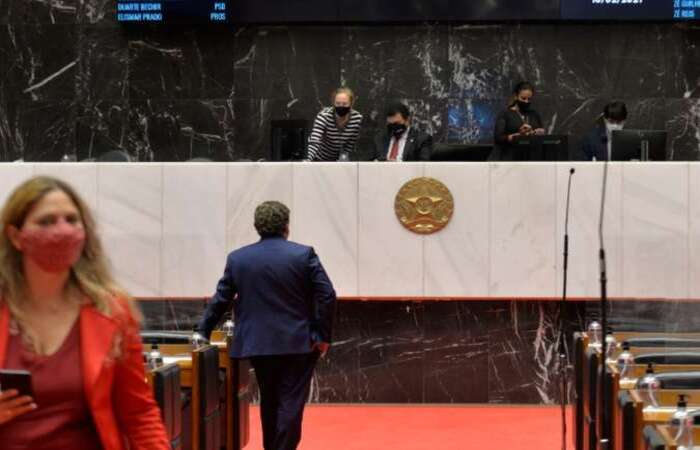 /Foto: Sarah Torres/Assembleia Legislativa de Minas Gerais