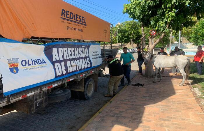 /Foto: Divulgação /Foto: Divulgação