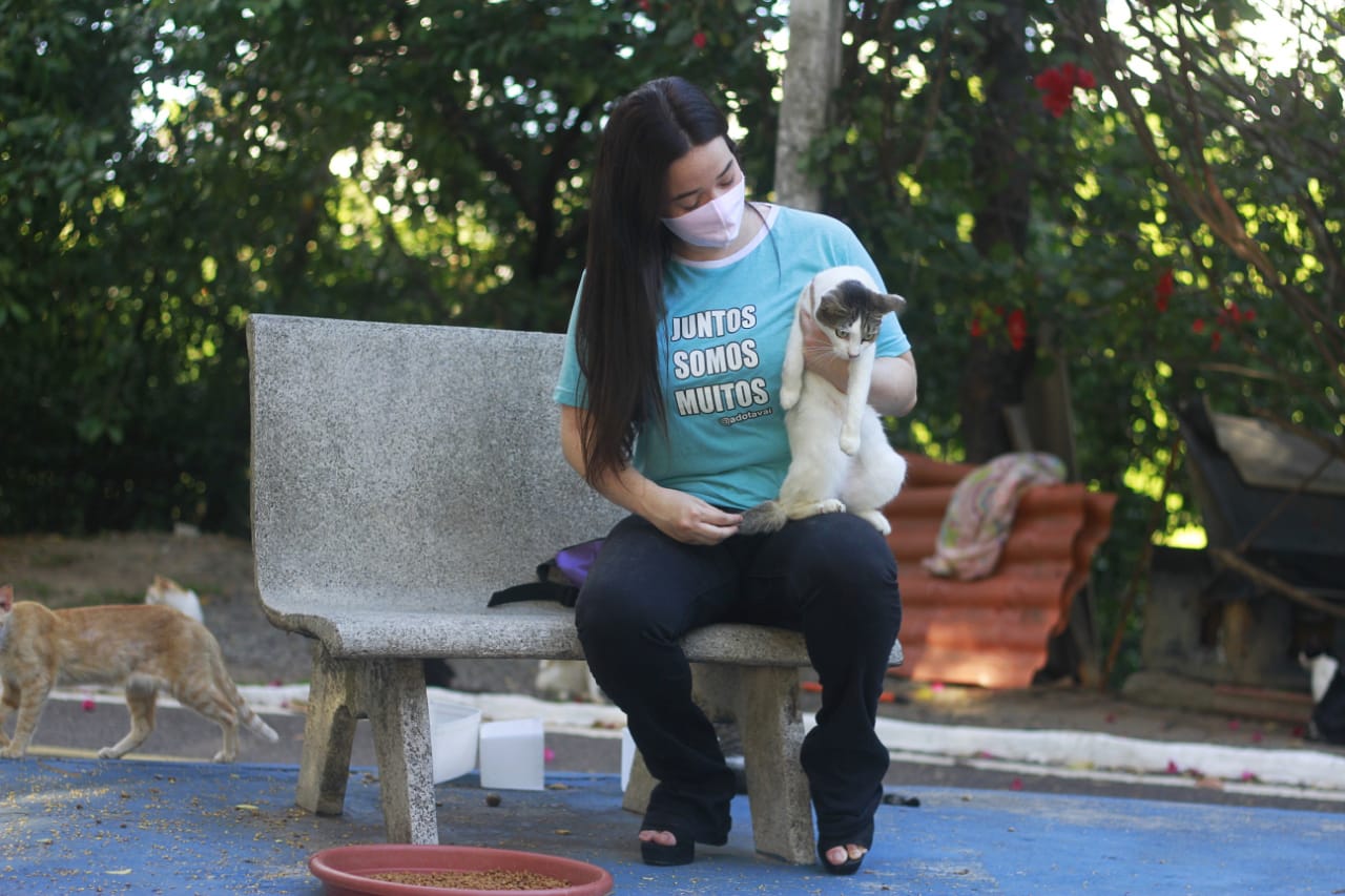 Milena usa o alcance da internet para mobilizar adoções para os gatos