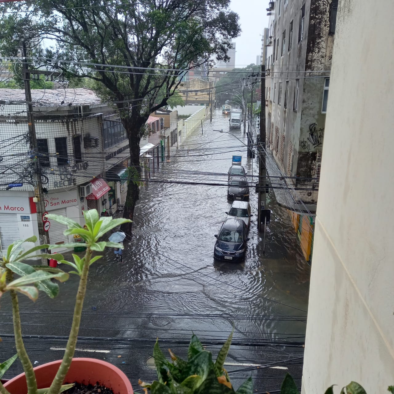 Rua do Giriquiti, no bairro da Boa Vista 
