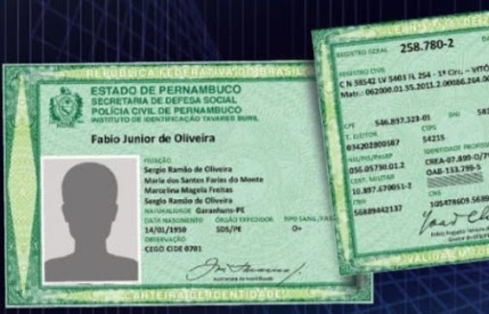 Nova modelo do documento permite a inclusão de mais 11 itens/Foto: Reprodução Nova modelo do documento permite a inclusão de mais 11 itens/Foto: Reprodução