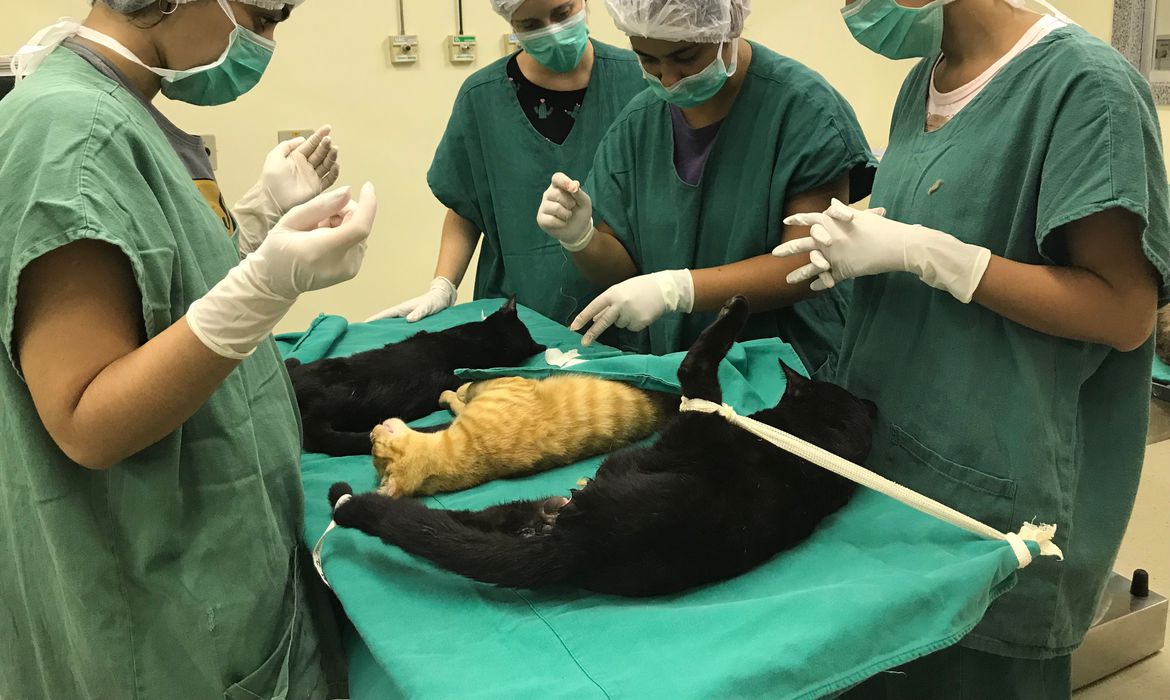 /Ação ajuda a diminuir uso de medicamentos e oxigênio. Foto: Divulgação/Prefeitura do Rio de Janeiro