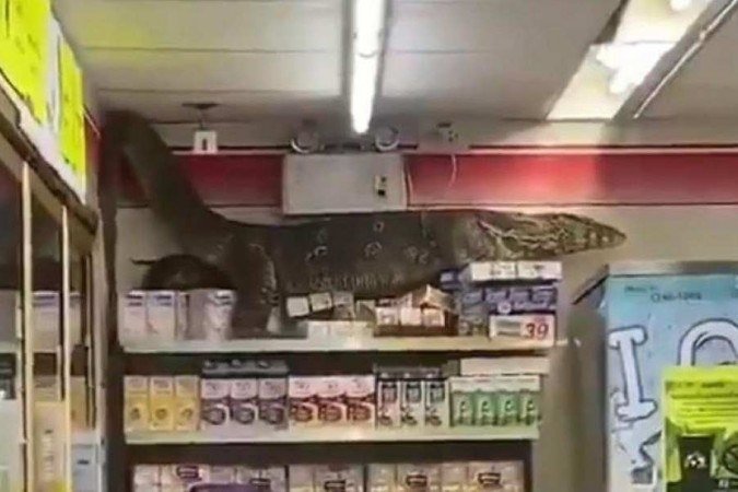/A situação iria parecer cena de filme se não tivesse sido gravada por clientes. Foto: Reprodução /A situação iria parecer cena de filme se não tivesse sido gravada por clientes. Foto: Reprodução
