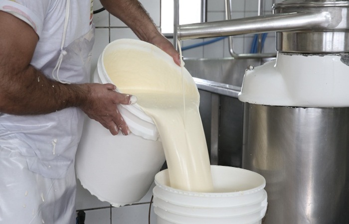 A cadeia produtiva de laticínios e da produção de leite está entre as beneficiadas pelo programa Força Local/Teresa Maia/Arquivo DP A cadeia produtiva de laticínios e da produção de leite está entre as beneficiadas pelo programa Força Local/Teresa Maia/Arquivo DP