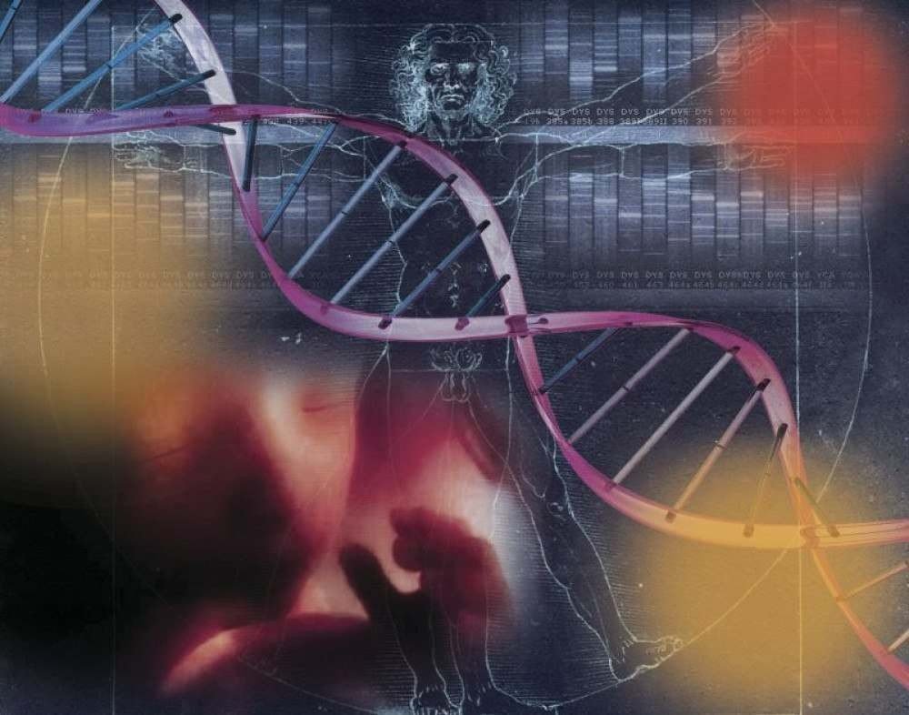 /Modelo com DNA de dois parentes próximos é criado por pesquisadores da Espanha e da China e surpreende a comunidade científica. Foto: Editoria de Arte/CB/D.A Press /Modelo com DNA de dois parentes próximos é criado por pesquisadores da Espanha e da China e surpreende a comunidade científica. Foto: Editoria de Arte/CB/D.A Press